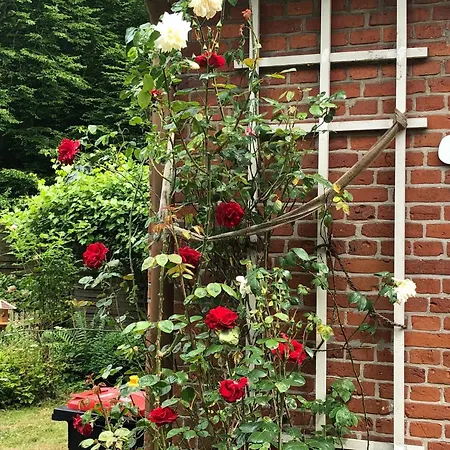 게스트하우스 Serene Guest Retreat In Grmitz With Private Entrance